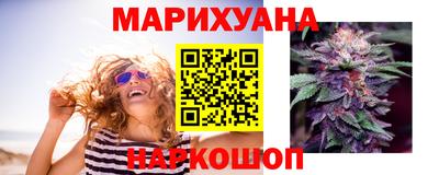 сатива Краснознаменск
