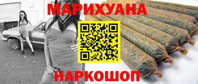 сатива Краснознаменск