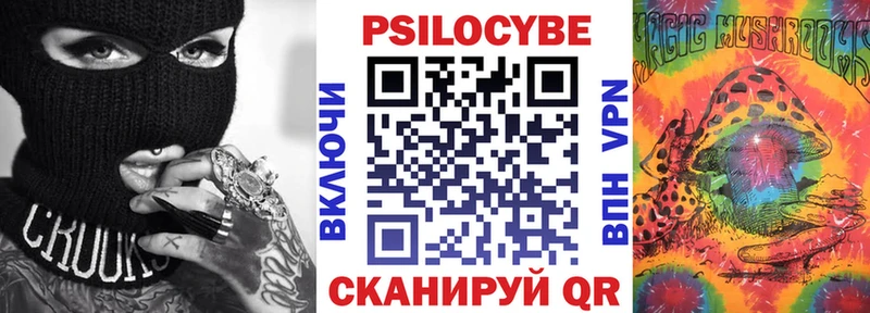 что такое kraken tor Галлюциногенные грибы Cubensis Кимры