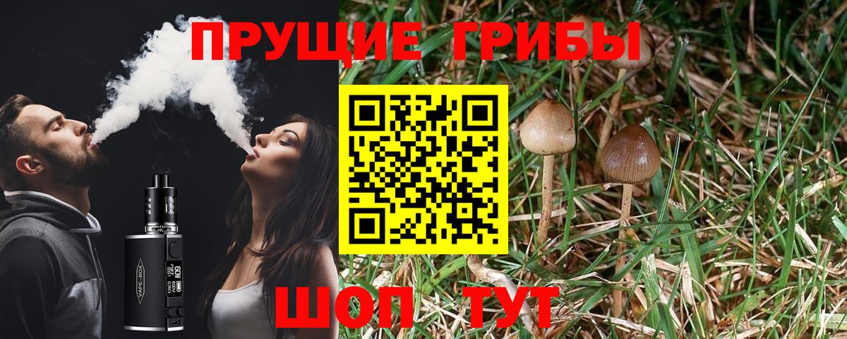 Кимры  Псилоцибиновые грибы Magic Shrooms  купить закладку  Вход с VPN  Галлюциногенные грибы прущие грибы 